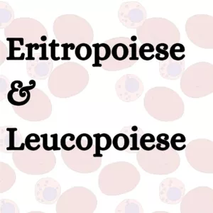 Imagem de capa para o Ebook Eritropoiese &amp; Leucopoiese