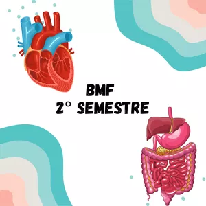 Imagem de capa para o Ebook Resumo BMF 2° semestre