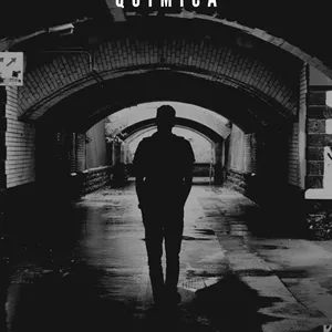 Imagem de capa para o Ebook Neuropsicologia e Dependência Química