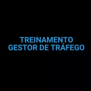 Imagem de capa para o Curso online Treinamento Gestor de tráfego pago