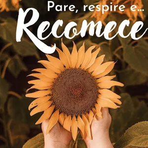 Imagem de capa para o Ebook Pare, pense e ... Recomece!