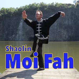 Cover image for Online course Kung Fu - Shaolin Moi Fah - "Plum Blossom" - Seventh Form of Plum Blossom Fist