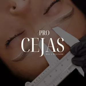 Imagen de portada para Curso online  PRO CEJAS - curso Premium de Diseño de Cejas