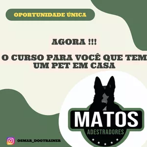 Imagem do curso Curso para você que tem um Pet em Casa