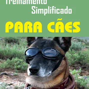 Imagem de capa para o Ebook Treinamento Simplificado Para Cães