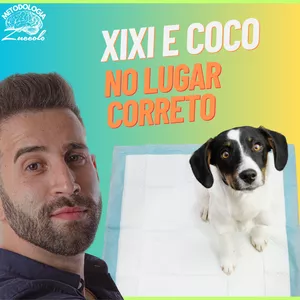 Curso XIXI E COCÔ NO LUGAR CERTO