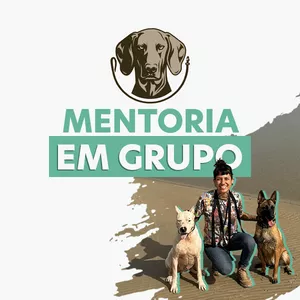 Imagem de capa para o Curso online Mentoria em Grupo