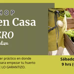 Imagen de portada para Curso online Mi Huerto en Casa desde CERO