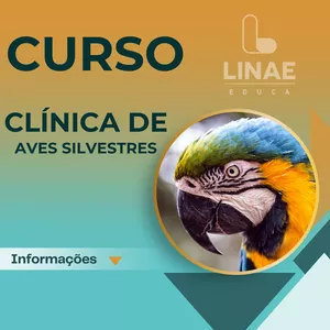 Imagem de capa para o Curso online Curso Clínica de Aves Silvestres
