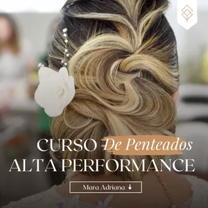 Imagem de capa para o Curso online Curso de Penteados de Alta Performance 