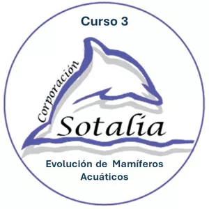 Imagen de portada para Curso online Curso 3. Evolución de Mamíferos Acuáticos