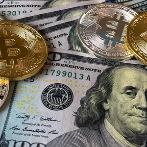 Investidor Iniciante 4.0