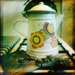 Imagen de portada para Curso online Mezclas herbales para infusión