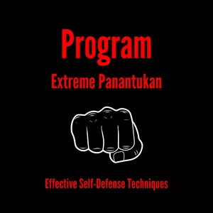 Cover image for Ebook [INATIVO] Program - Extreme Panantukan - Effective Self-Defense Techniques