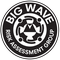 BWRAG Surf Responder Online Course
