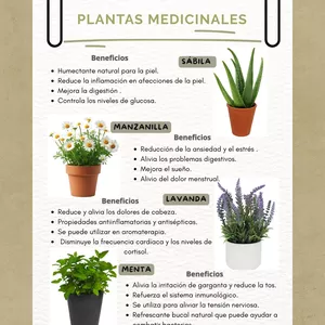 Imagen de portada para Ebook PLANTAS DE INTERIOR RESISTENTES 
