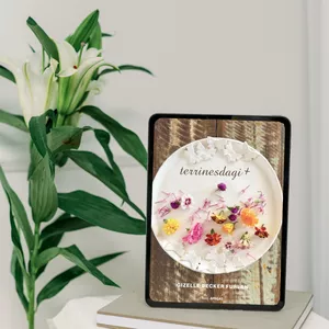 Imagem de capa para o Ebook Terrines da Gi+