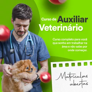 Capa do curso 