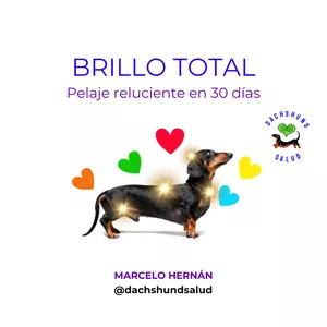 Imagen de portada para Ebook BRILLO TOTAL - Pelaje Reluciente en 30 días.