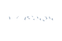 Mt. Vernon Consulting