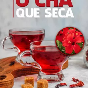 Imagem de capa para o Ebook Receitas para secar