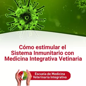 Imagen de portada para Curso online Como Estimular el Sistema Inmunitario con Medicina Integrativa en Veterinaria