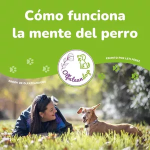 Imagen de portada para Ebook Cómo funciona la mente del perro