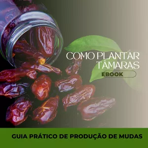 Imagem de capa para o Ebook Como Plantar Tâmara - Produção de Mudas