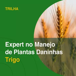 Imagem de capa para o Curso online Trilha Expert em plantas daninhas trigo