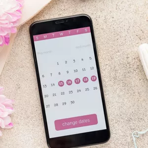 Imagem de capa para o Curso online Acesso Exclusivo ao Treinamento de Suporte Intensivo de 30 Dias