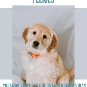 Imagen de portada para Ebook Perros Felices, Dueños Felices