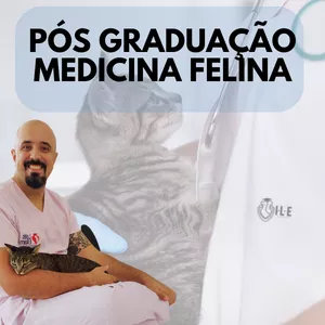Imagem de capa para o Curso online Pós-graduação Medicina Felina