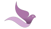 Burd Education for Pregnancy, Postpartum and Parenting