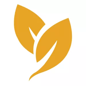 Imagen de portada para Curso online Protocolo Desinflama