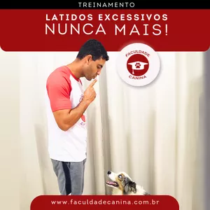 Imagem de capa para o Ebook TREINAMENTO VIP: LATIDOS EXCESSIVOS NUNCA MAIS 