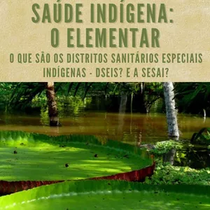 Imagem de capa para o Ebook Saúde Indígena: O elementar - O que são dos Distritos Sanitários Especiais Indígenas - DSEIs? E a SESAI?