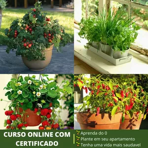 Imagen de portada para Ebook Manual del practicante cultiva tus propios árboles de frutas e verduras em casa.