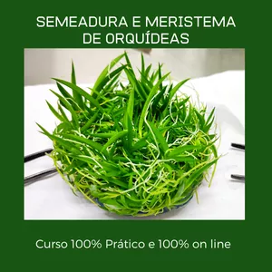 Imagem de Curso de Semeadura e Meristema de Orquídeas criado por Laboratório Cultivar Orquídeas in vitro na hotmart