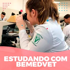 Imagem do curso Estudando com Bemedvet - Premium