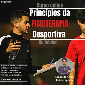 Imagem de capa para o Curso online Princípios da Fisioterapia Desportiva