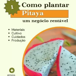 Imagem de capa para o Ebook Como Plantar Pitaya