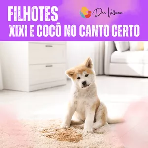 Imagem de capa para o Curso online Filhote - Como ensinar xixi e cocô no canto certo