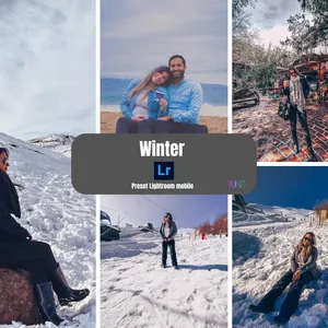 Imagen de portada para Curso online Preset Winter 