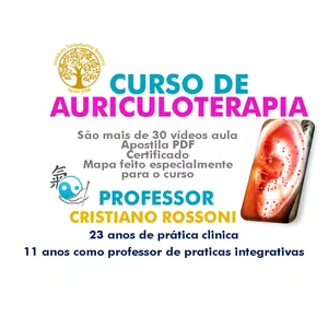 Imagem de capa para o Curso online CURSO DE AURICULOTERAPIA CHINESA COMPLETO