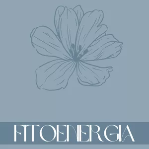 Imagem de capa para o Ebook O PODER DAS PLANTAS