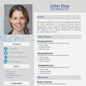 Cover image for Ebook Plantillas Curiculum Vitae Personalizables 