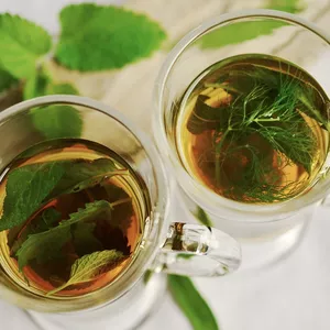 Imagem de capa para o Curso online Guia das Plantas Medicinais Avançadas e Como Cuidar de Um Jardim Fitoterápico