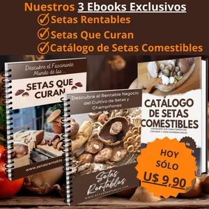 Imagen de portada para Ebook Super Combo Setas Rentables