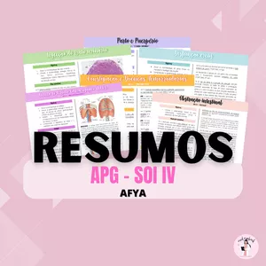 Imagem de capa para o Ebook RESUMOS APGs - SOI IV AFYA 