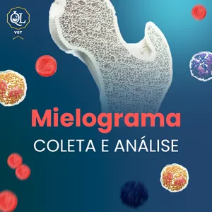 Imagem de capa para o Curso online Mielograma - coleta e análise (Módulo 1)